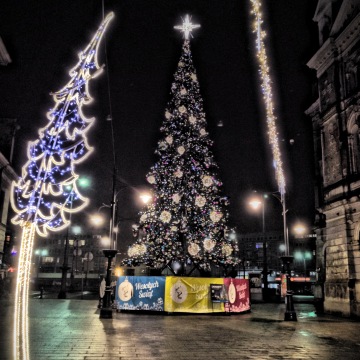 Christmas Tree Piotkowska